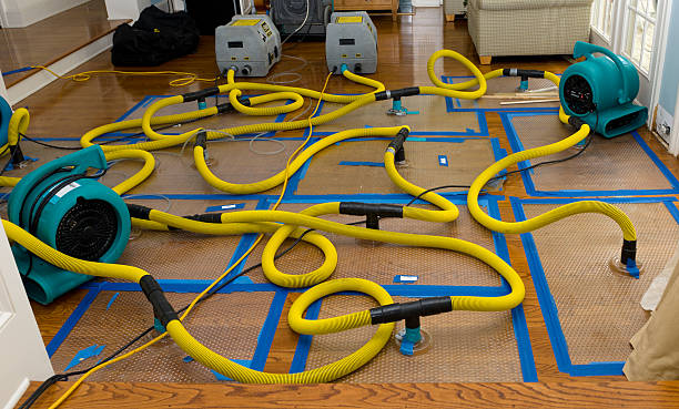 Professional Crawl Space Water Removal technician working in Rockwall, TX